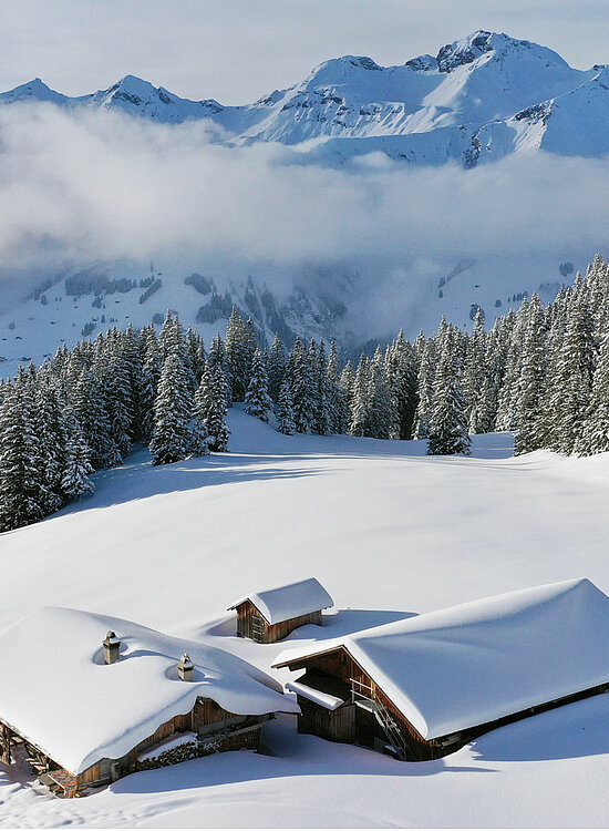 <p>Winterlandschaft mit drei schneebedeckten Chalets umgeben von einem Arvenwald und imposantem Bergpanorama.</p>